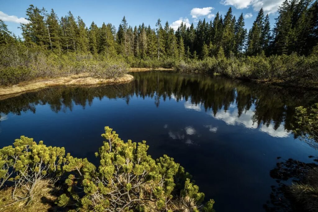 In den Šumava und in den Český les auf weniger bekannten Routen. Das sind die richtigen (3) - Resort Český les