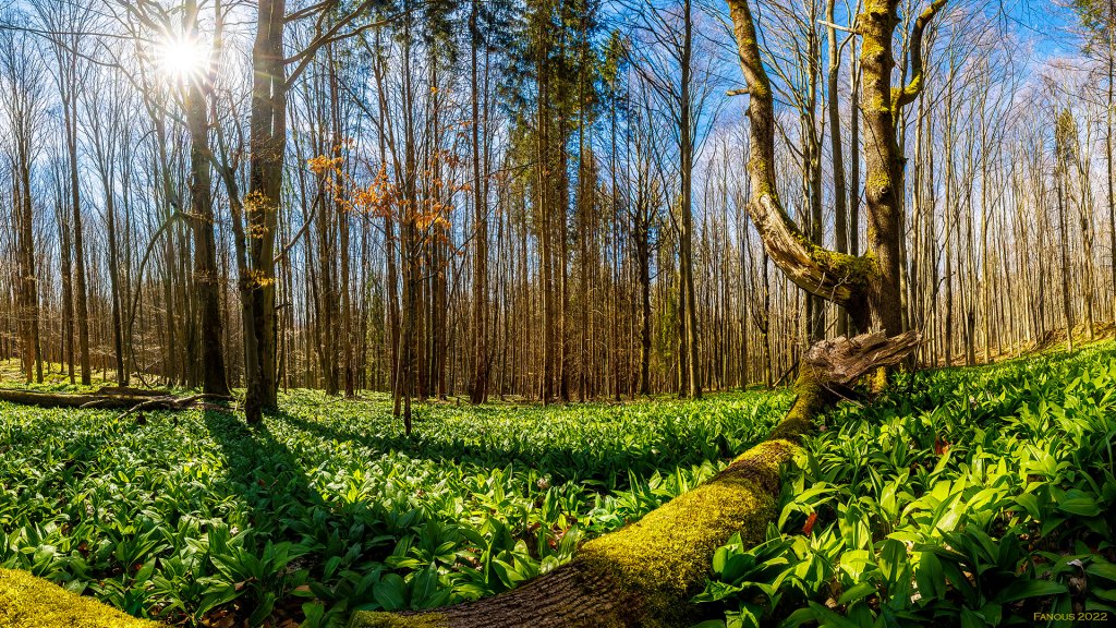 295_x1a2138-hdr-pano.jpg