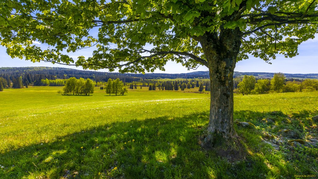 290_n0a9988-hdr.jpg