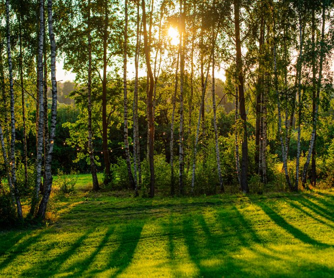 Rok Ohnivého koně začíná: Energie pohybu, odvahy a nových začátků