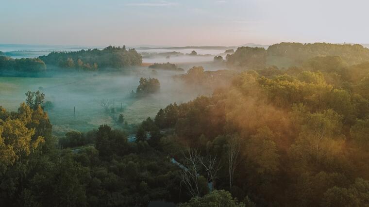 Wildgehege Srdíčko und Resortumgebung 21