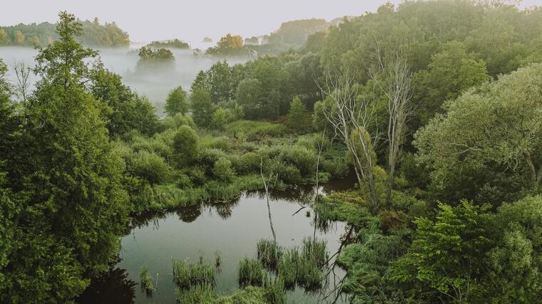 Wildgehege Srdíčko und Resortumgebung 22