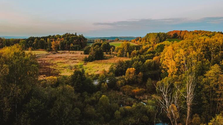 Wildgehege Srdíčko und Resortumgebung 27