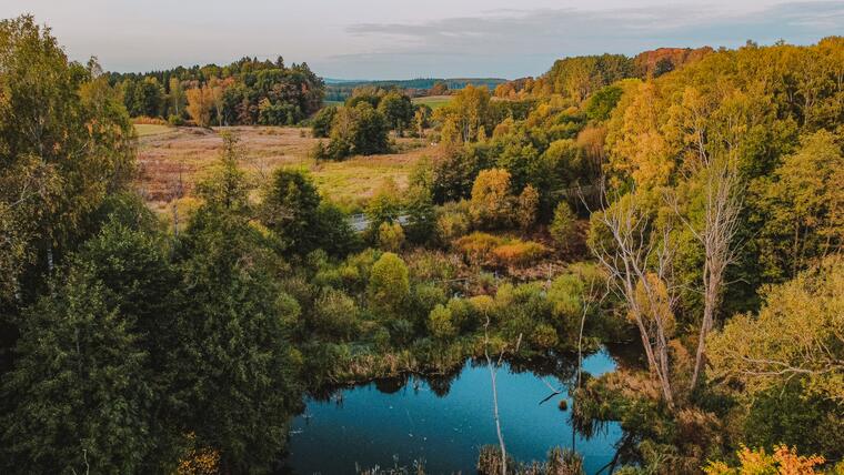 Wildgehege Srdíčko und Resortumgebung 28