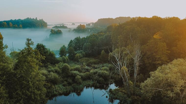 Wildgehege Srdíčko und Resortumgebung 23