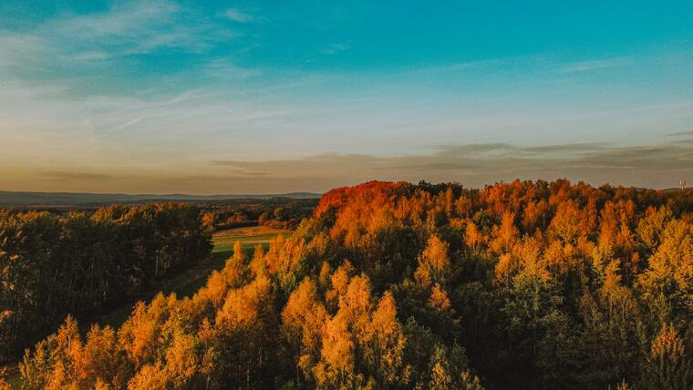 Wildgehege Srdíčko und Resortumgebung 14