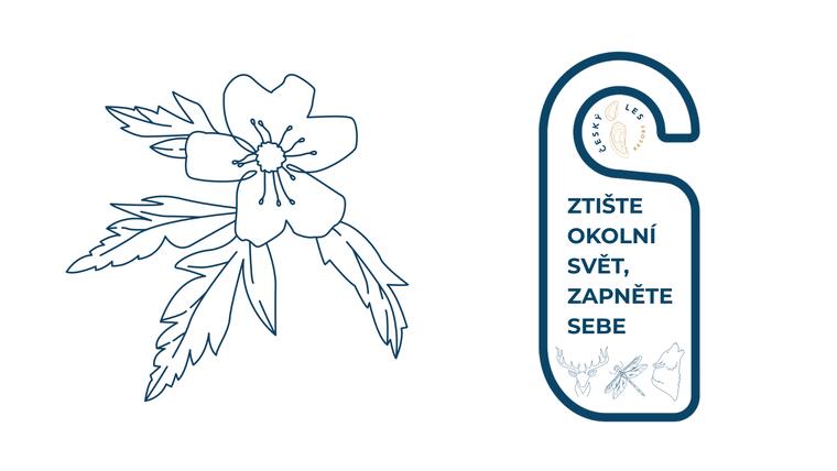 Podmínky a pravidla věrnostního klubu
